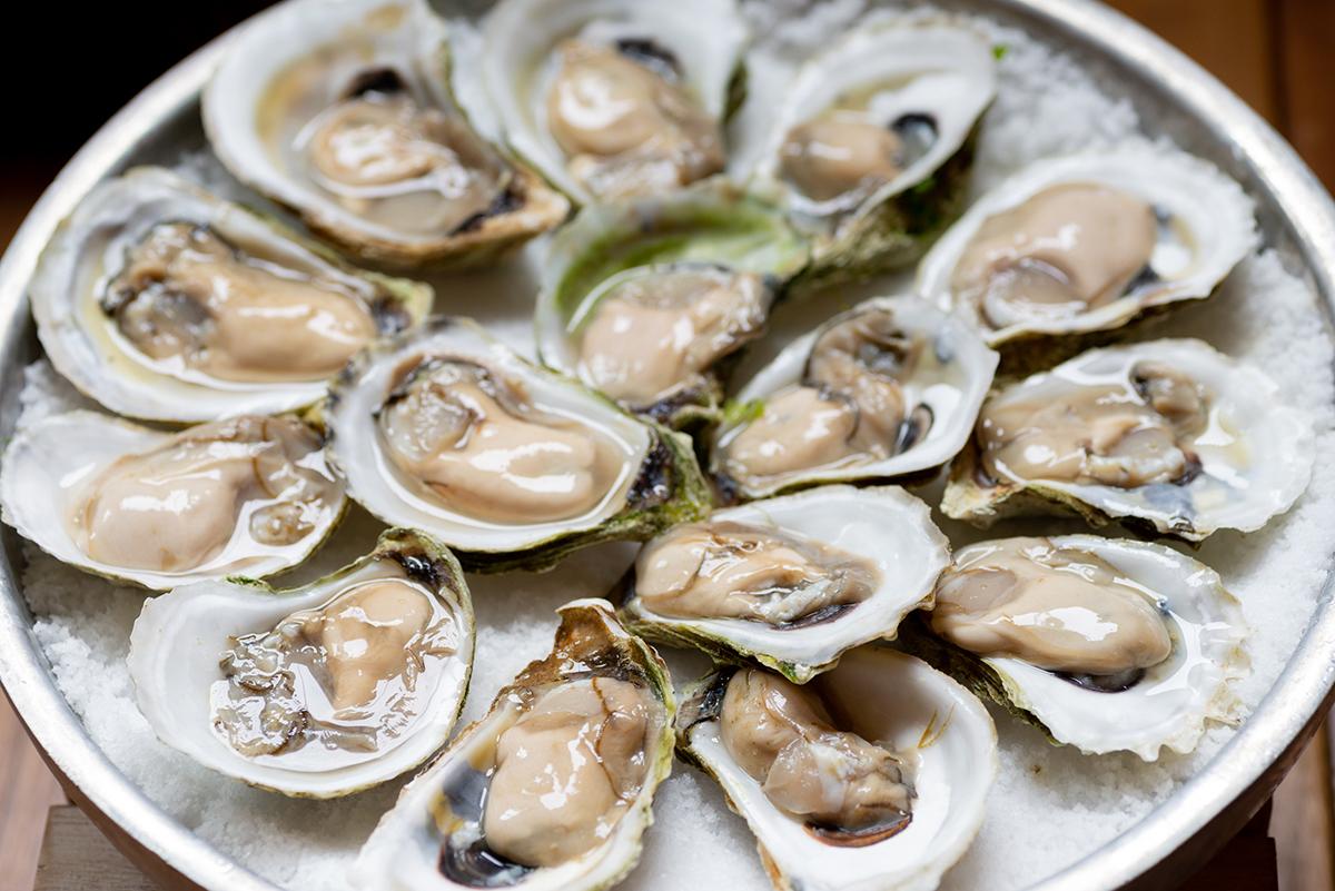 Oysters on a serving plate