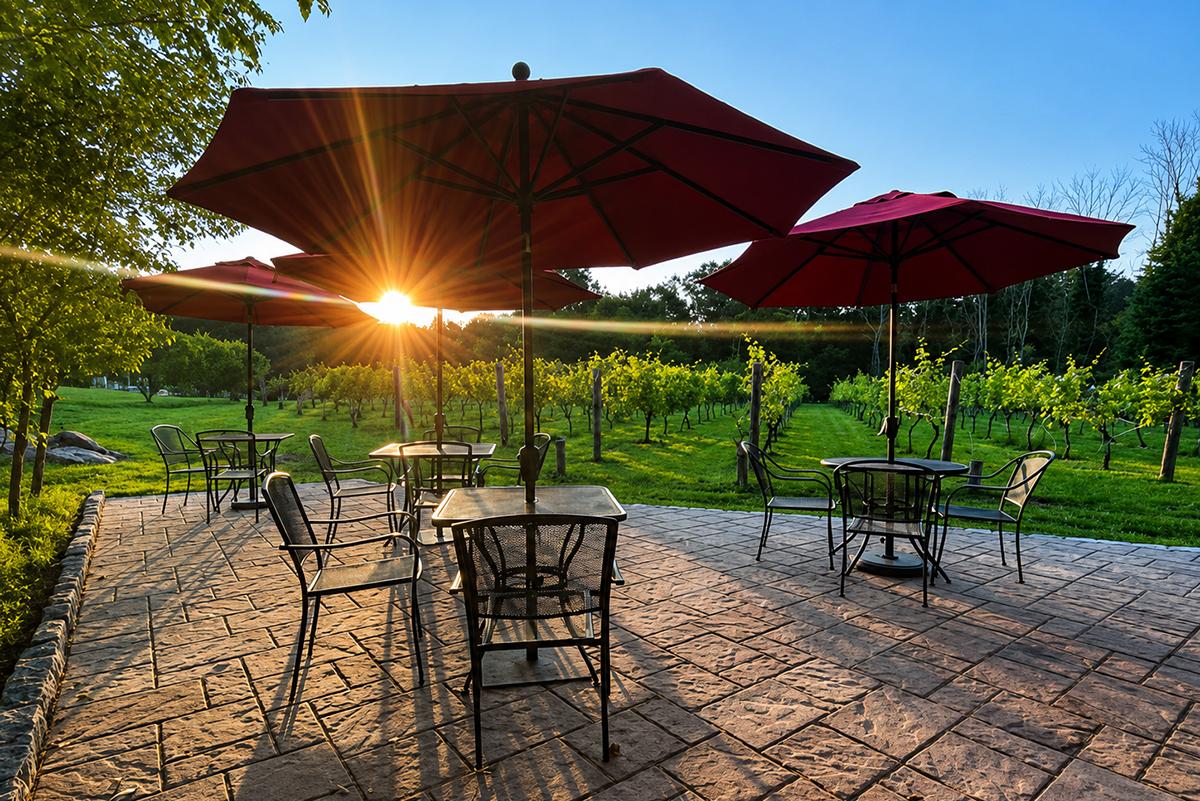 Patio with tables and red umbrellas at sunset, overlooking a vineyard.