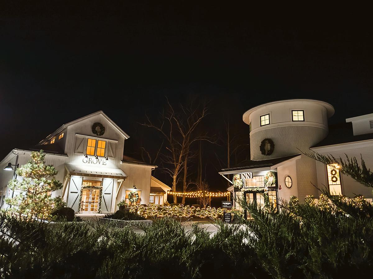 Nighttime view of two warmly lit modern houses behind flowering shrubs.