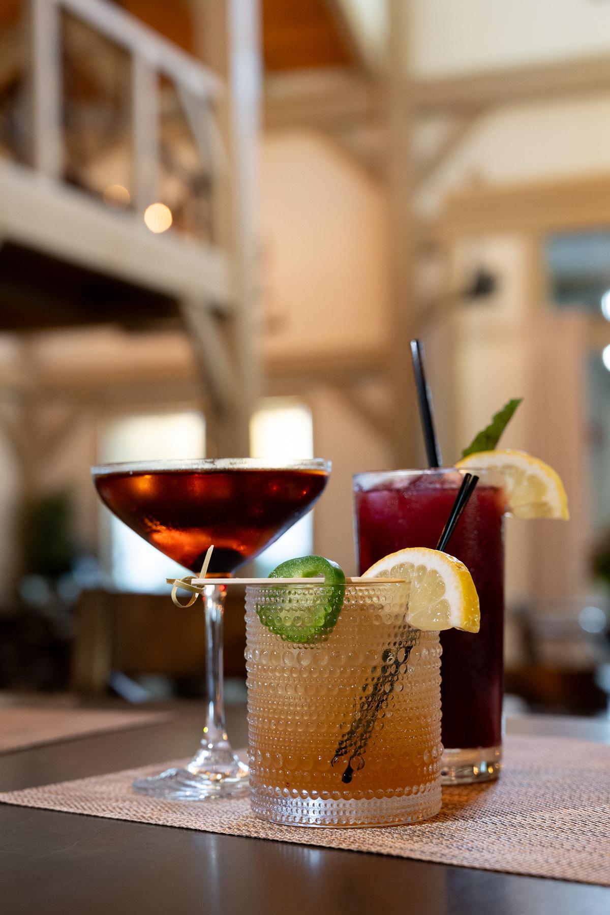 Two cocktails on a bar: a dark martini and an iced citrus drink with mint.